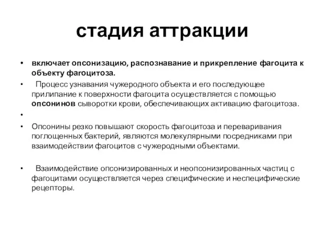 стадия аттракции включает опсонизацию, распознавание и прикрепление фагоцита к объекту фагоцитоза.