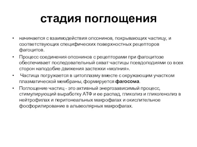 стадия поглощения начинается с взаимодействия опсонинов, покрывающих частицу, и соответствующих специфических