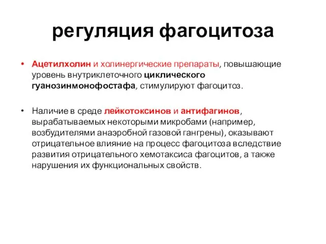 регуляция фагоцитоза Ацетилхолин и холинергические препараты, повышающие уровень внутриклеточного циклического гуанозинмонофостафа,