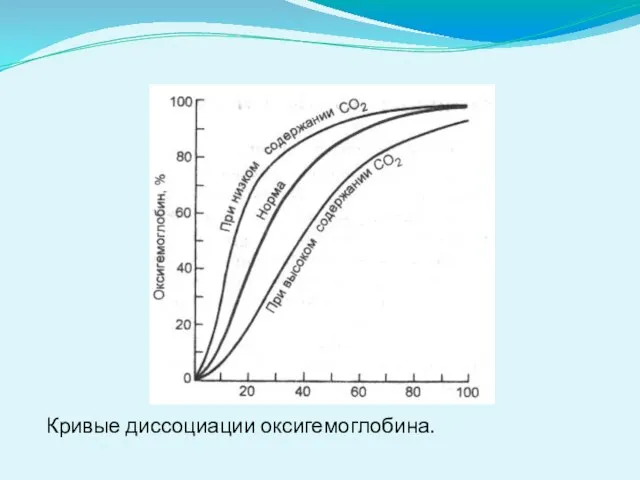 Кривые диссоциации оксигемоглобина.