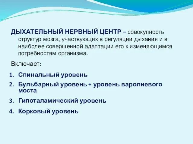 ДЫХАТЕЛЬНЫЙ НЕРВНЫЙ ЦЕНТР – совокупность структур мозга, участвующих в регуляции дыхания