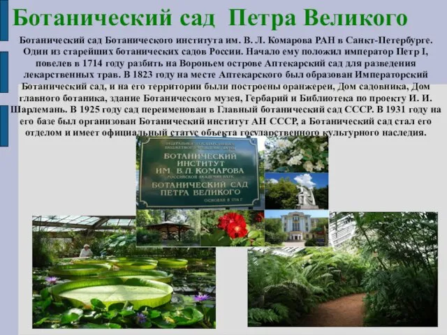 Ботанический сад Петра Великого Ботанический сад Ботанического института им. В. Л.