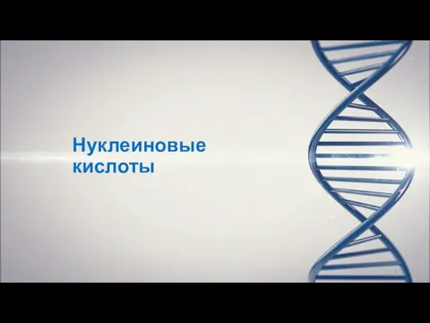 Нуклеиновые кислоты