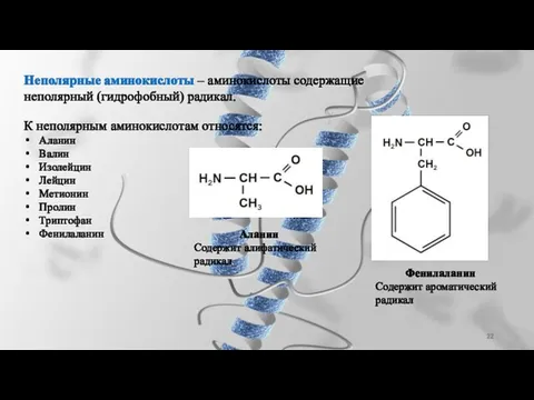 Неполярные аминокислоты – аминокислоты содержащие неполярный (гидрофобный) радикал. К неполярным аминокислотам