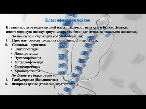 Классификация белков В зависимости от молекулярной массы различают пептиды и белки.