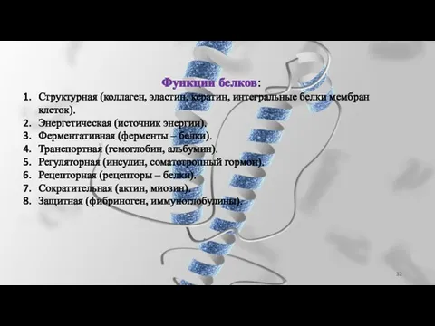 Функции белков: Структурная (коллаген, эластин, кератин, интегральные белки мембран клеток). Энергетическая