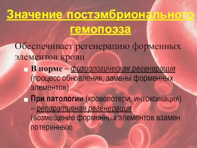 Значение постэмбрионального гемопоэза Обеспечивает регенерацию форменных элементов крови В норме –