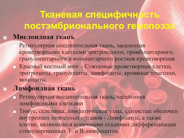 Тканевая специфичность постэмбрионального гемопоэза Миелоидная ткань Ретикулярная соединительная ткань, заселенная кроветворными