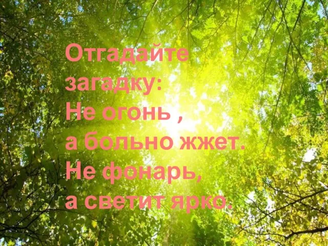 Отгадайте загадку: Не огонь , а больно жжет. Не фонарь, а светит ярко.