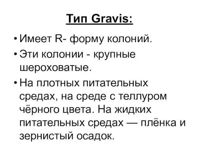 Тип Gravis: Имеет R- форму колоний. Эти колонии - крупные шероховатые.