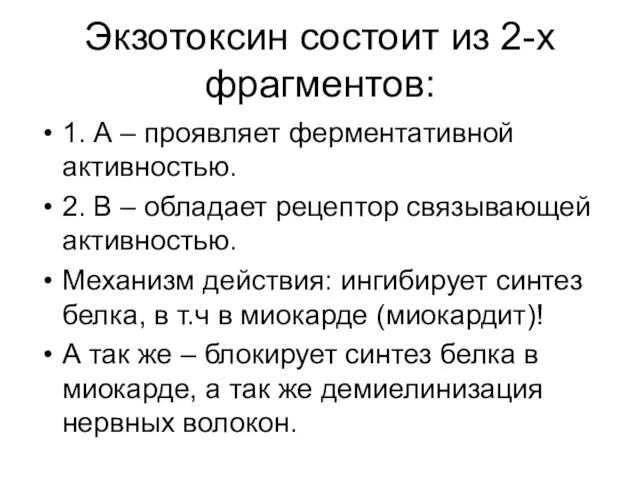 Экзотоксин состоит из 2-х фрагментов: 1. А – проявляет ферментативной активностью.