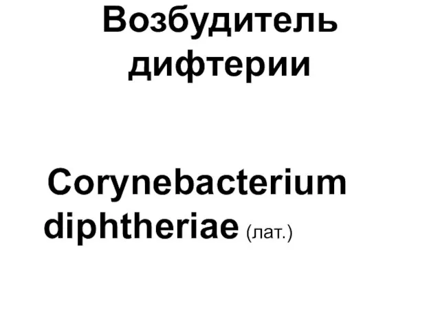 Возбудитель дифтерии Corynebacterium diphtheriae (лат.)