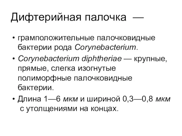 Дифтерийная палочка — грамположительные палочковидные бактерии рода Corynebacterium. Corynebacterium diphtheriae —