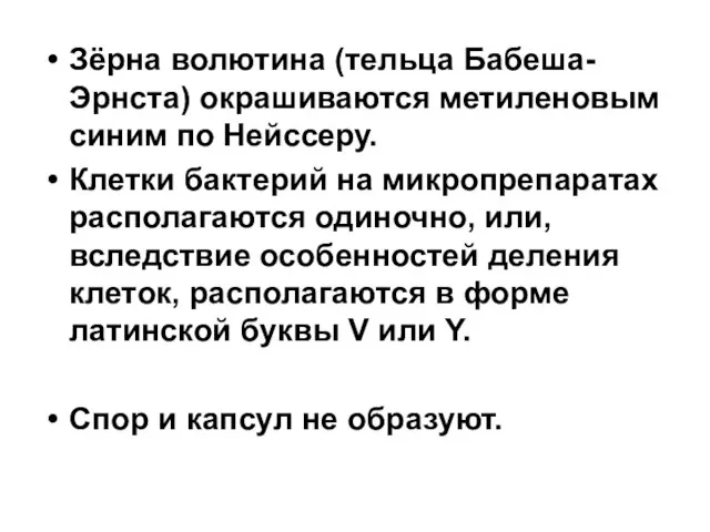 Зёрна волютина (тельца Бабеша-Эрнста) окрашиваются метиленовым синим по Нейссеру. Клетки бактерий