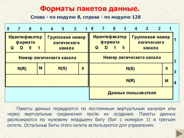 Форматы пакетов данные. Пакеты данных передаются по постоянным виртуальным каналам или