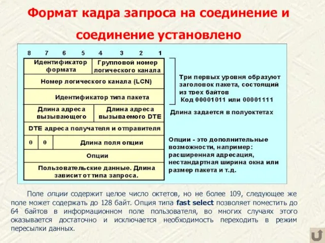 Формат кадра запроса на соединение и соединение установлено Поле опции содержит