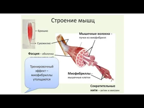 Название темы презентации В.Г. Лазаренко