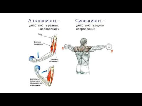 Название темы презентации В.Г. Лазаренко