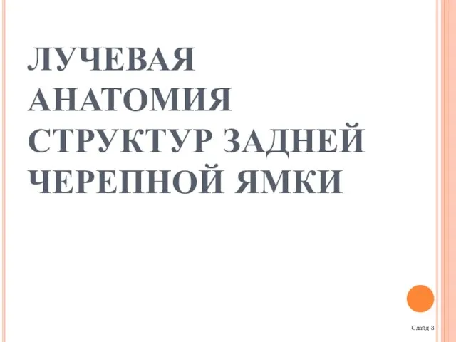 ЛУЧЕВАЯ АНАТОМИЯ СТРУКТУР ЗАДНЕЙ ЧЕРЕПНОЙ ЯМКИ Слайд 3