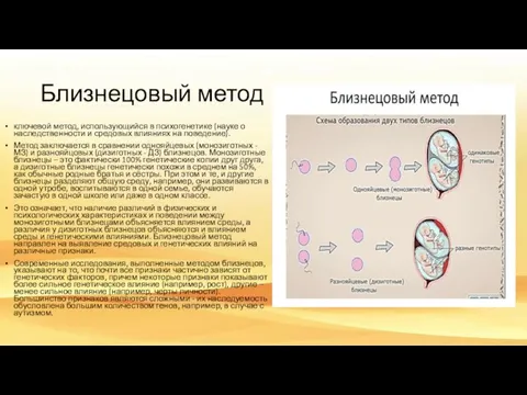 Близнецовый метод ключевой метод, использующийся в психогенетике (науке о наследственности и