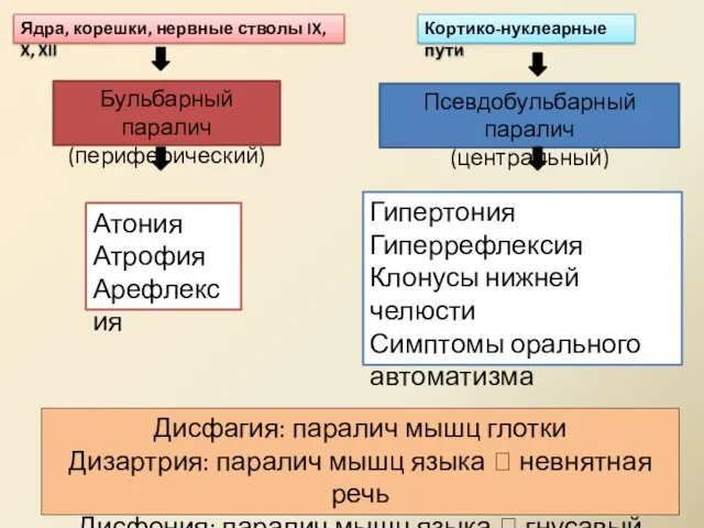 Бульбарный паралич (периферический) Псевдобульбарный паралич (центральный) Дисфагия: паралич мышц глотки Дизартрия: