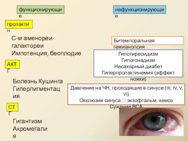 пролактин С-м аменореи-галактореи Импотенция, бесплодие АКТГ Болезнь Кушинга Гиперпигментация СТГ Гигантизм