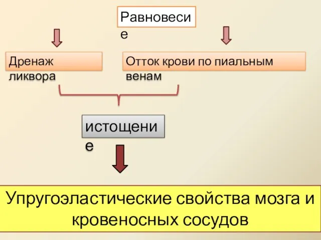 Равновесие Дренаж ликвора Отток крови по пиальным венам истощение Упругоэластические свойства мозга и кровеносных сосудов