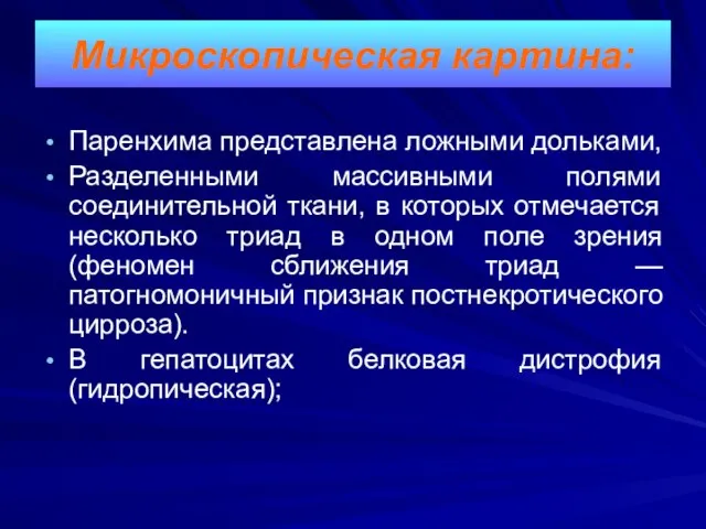 Паренхима представлена ложными дольками, Разделенными массивными полями соединительной ткани, в которых