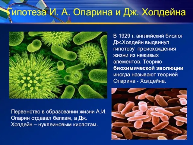 Гипотеза И. А. Опарина и Дж. Холдейна Первенство в образовании жизни