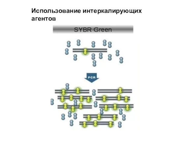 Использование интеркалирующих агентов