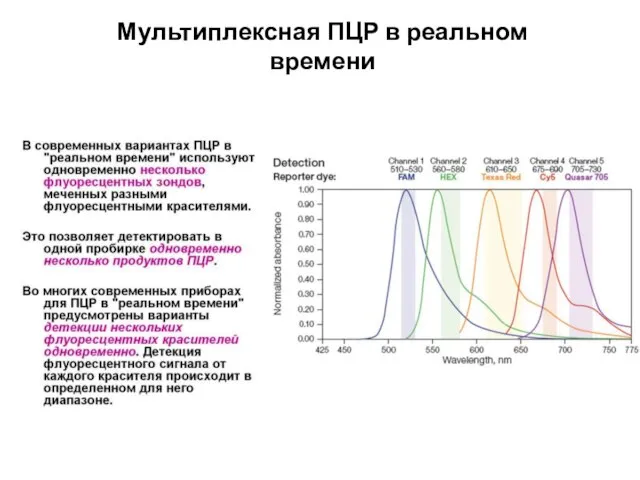 Мультиплексная ПЦР в реальном времени