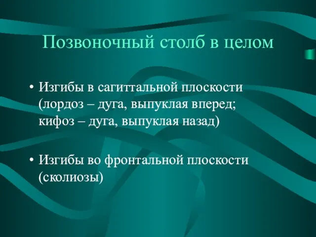 Позвоночный столб в целом Изгибы в сагиттальной плоскости (лордоз – дуга,