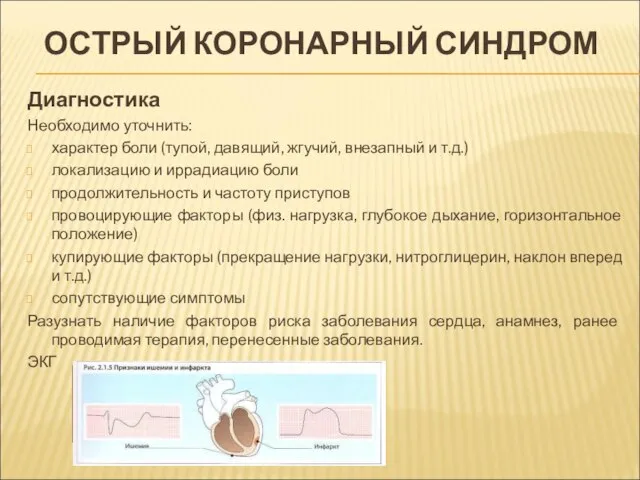 ОСТРЫЙ КОРОНАРНЫЙ СИНДРОМ Диагностика Необходимо уточнить: характер боли (тупой, давящий, жгучий,