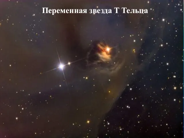 Переменная звезда Т Тельца