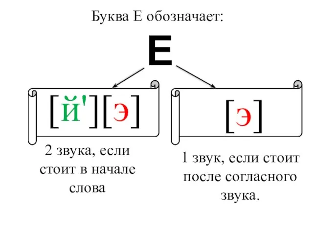 Буква Е обозначает: 2 звука, если стоит в начале слова 1