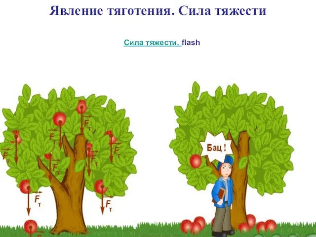 Явление тяготения. Сила тяжести Сила тяжести. flash