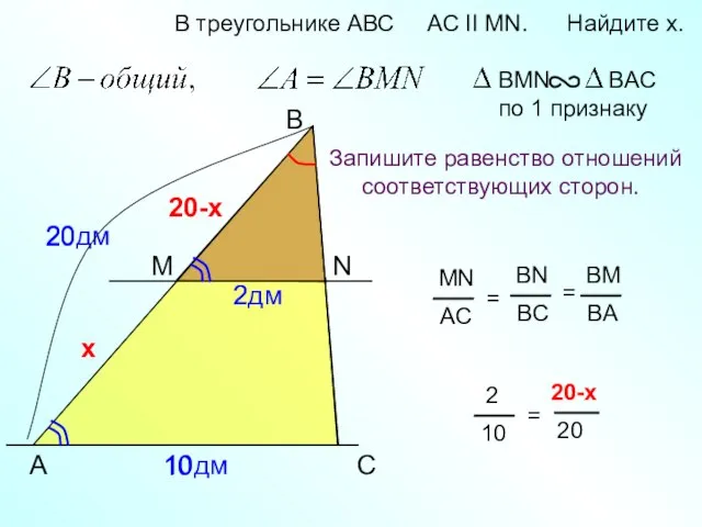 20дм 20 A B N В треугольнике АВС AC II MN.