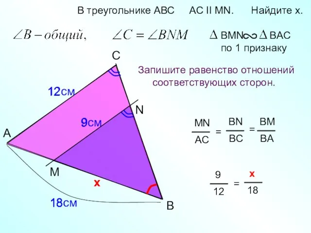 A B N В треугольнике АВС AC II MN. Найдите x.