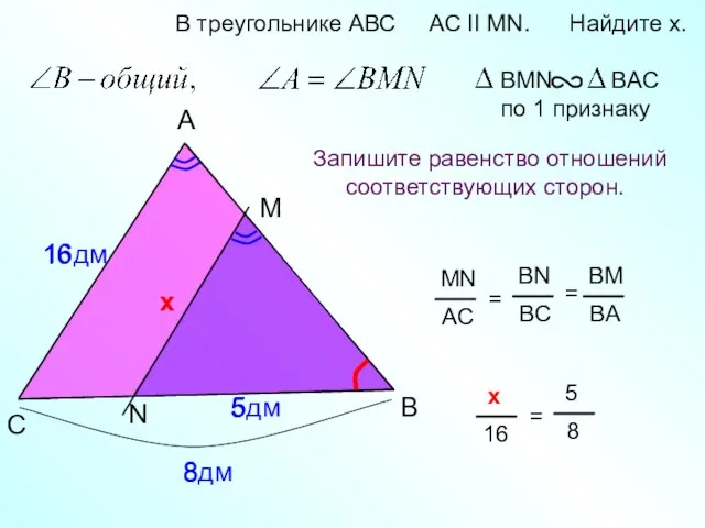 A B M В треугольнике АВС AC II MN. Найдите x.