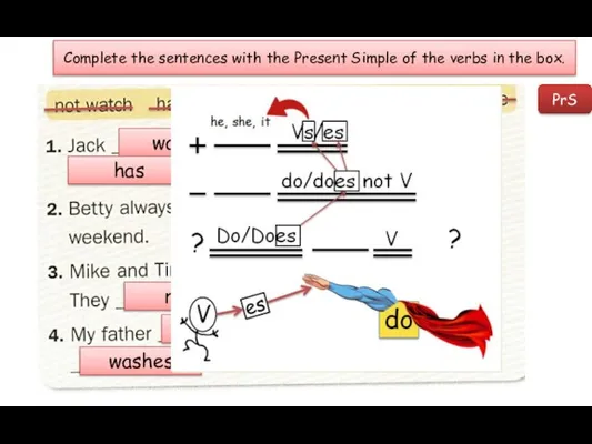 Complete the sentences with the Present Simple of the verbs in