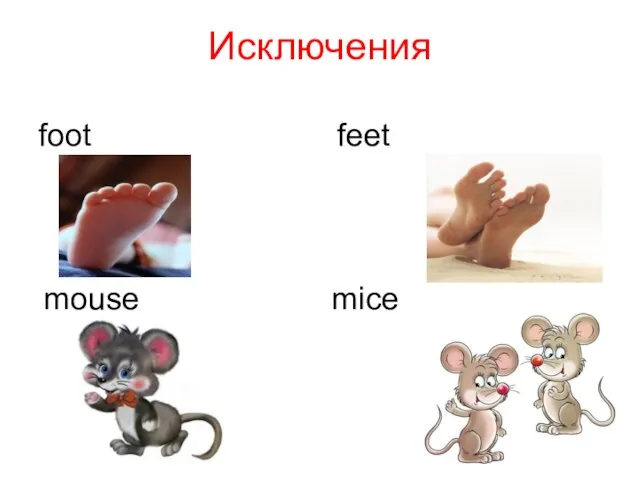 Исключения foot feet mouse mice