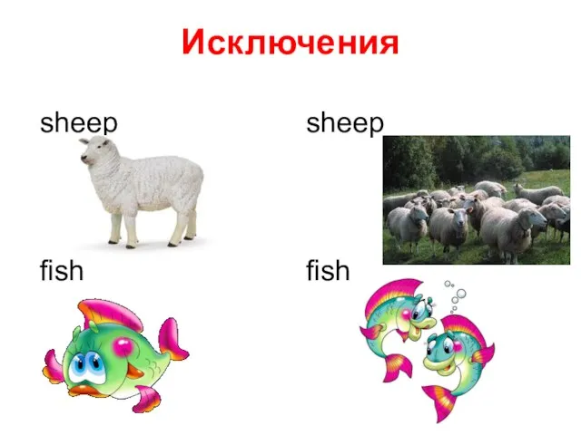 Исключения sheep sheep fish fish