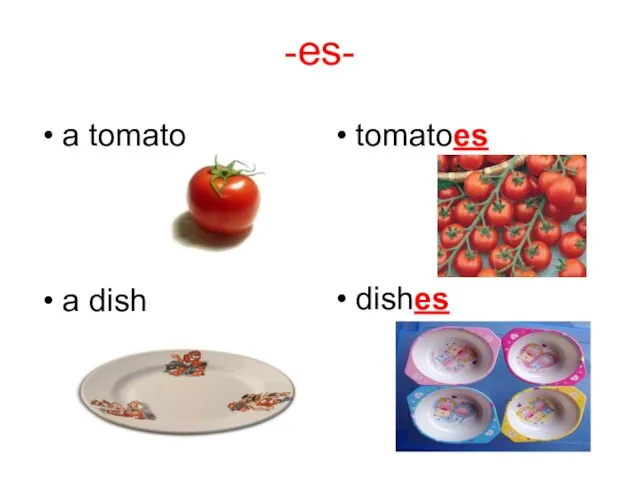 -es- a tomato tomatoes a dish dishes