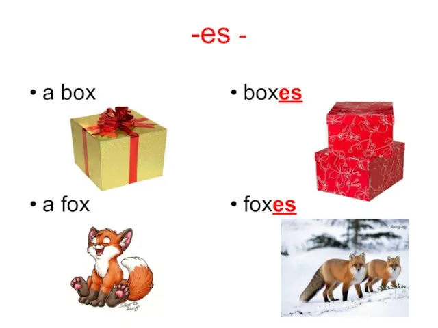 -es - a box boxes a fox foxes