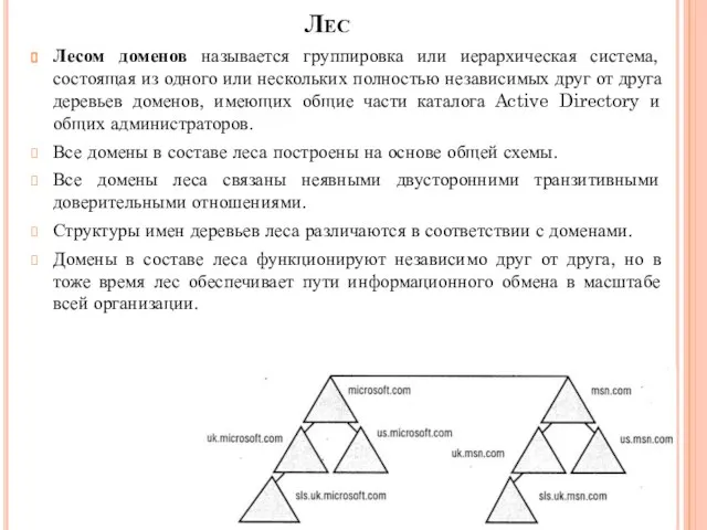 Лес Лесом доменов называется группировка или иерархическая система, состоящая из одного