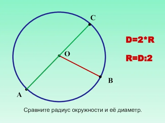 В А О С Сравните радиус окружности и её диаметр. D=2*R R=D:2