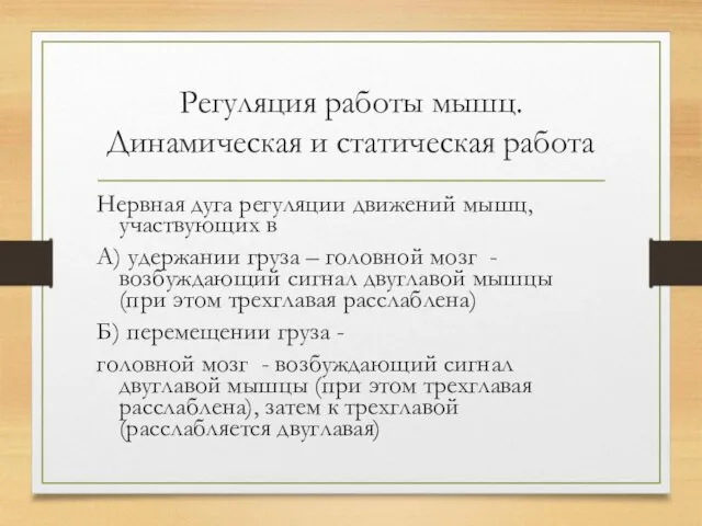 Регуляция работы мышц. Динамическая и статическая работа Нервная дуга регуляции движений