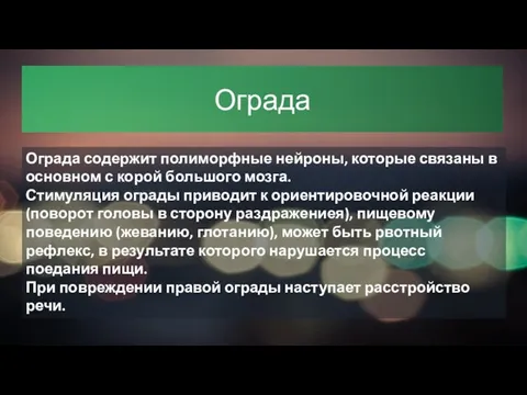 Ограда Ограда содержит полиморфные нейроны, которые связаны в основном с корой