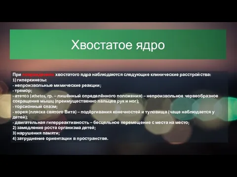 Хвостатое ядро При повреждениях хвостатого ядра наблюдаются следующие клинические расстройства: 1)