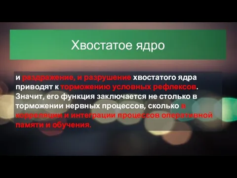 Хвостатое ядро и раздражение, и разрушение хвостатого ядра приводят к торможению